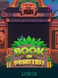 Explorando o Enigmático Mundo de BookOfPriestess