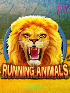 Descubra o Universo de RunningAnimals: Diversão e Desafios